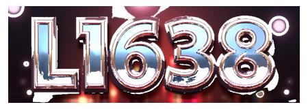 l1638 logo
